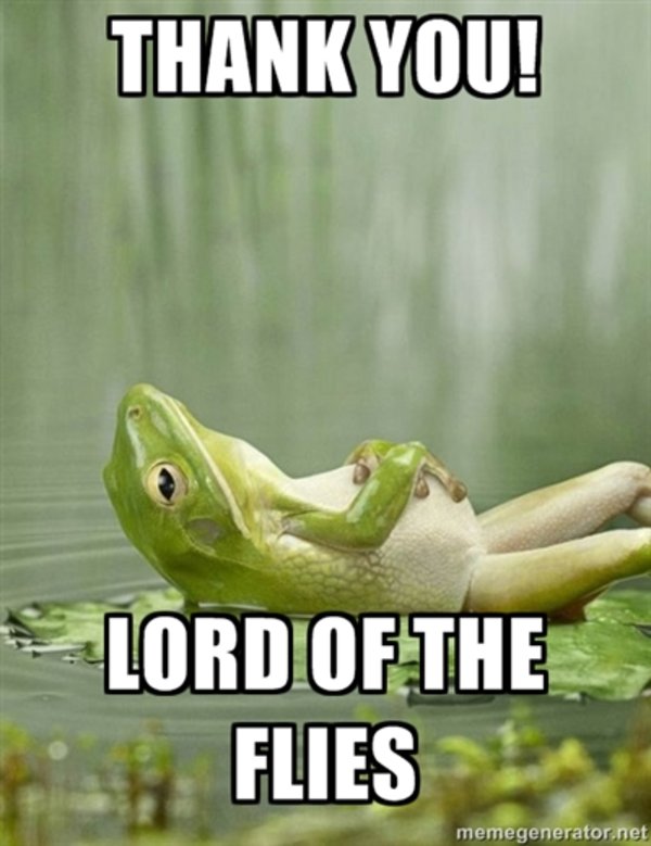 Funny lord of the flies essay