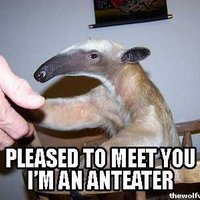 I'm an Anteater!!!