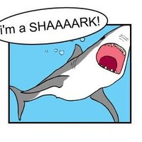 The Singing Shark