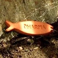Fish Biscuit