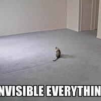 Invisible X