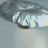 Falcon Heene