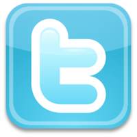 Novelty Twitter Accounts