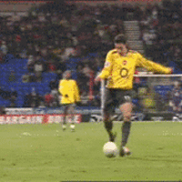 Van Persie Fall