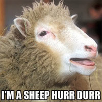 Hurr Durr