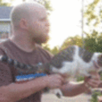 Cat Gun