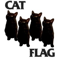 Black Flag Mash Ups