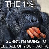 The 1%