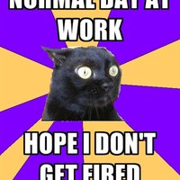 Anxiety Cat