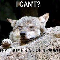 Ignorant to Adversity wolf