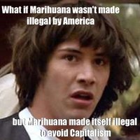 Keanu discovers the truth about illegal marihuana