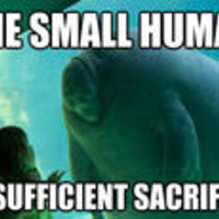 Overlord Manatee