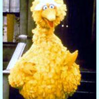 Big Bird