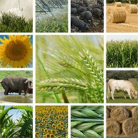 Farming