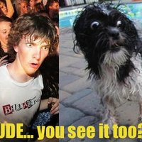 sudden clarity
