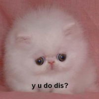 Y U Do Dis?