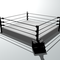 Professional Wrestling / WWE