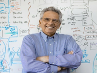 Engineering Professor