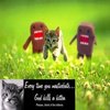 Every time you masturbate, God kills a kitten Every time you masturbate, God kills a kitten