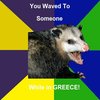 Impolite Possum Impolite Possum