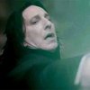 Snape Kills Dumbledore Snape Kills Dumbledore