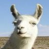 The Llama Song The Llama Song