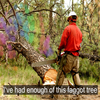Faggot Tree Faggot Tree
