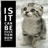 Is it can be hugs tiem now plees? Is it can be hugs tiem now plees?