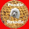 Poodle Stroodle