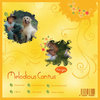 CD or DVD Cover