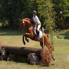 Horse Music Videos