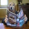 Human Dog