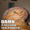 Damn It Feels Good To Be A Gangsta Damn It Feels Good To Be A Gangsta