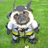 Pug says Batman!