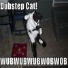 Dubstep Remix Videos Dubstep Remix Videos