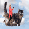 Paula Deen Riding Things Paula Deen Riding Things