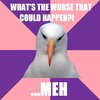 Apathetic Albatross Apathetic Albatross