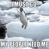 I Must Go I Must Go