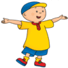 Caillou's life adventures