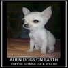 E.T. cloned in a dog E.T. cloned in a dog