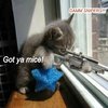 DAMM SNIPERS!!! DAMM SNIPERS!!!