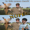 Bones Bones