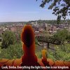 Popo Killed Simba