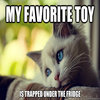 First World Problems Cat First World Problems Cat