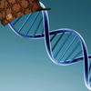 Scumbag DNA Scumbag DNA