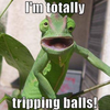 Tripping Balls Tripping Balls