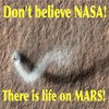 Don't believe NASA! There is life on MARS! Don't believe NASA! There is life on MARS!