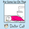 Put Some Ice On That Put Some Ice On That