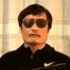 Free Chen Guangcheng Free Chen Guangcheng