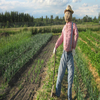 Scarecrow Scarecrow